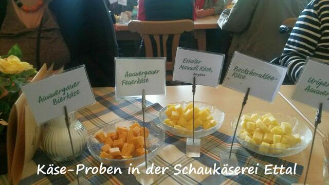 Käse-Proben