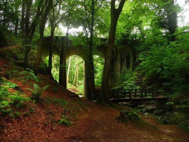 In den Groundle Glen