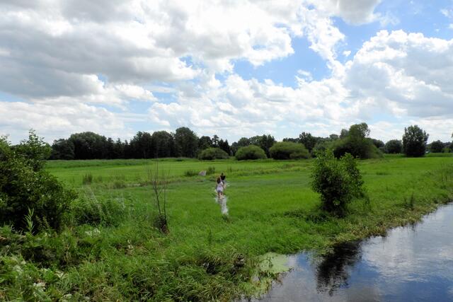 Das Wasser sucht sich seinen Weg