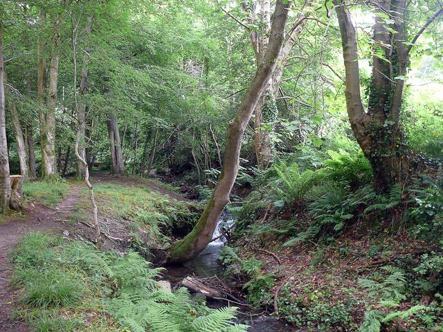 In den Sommerhill Glen in Douglas.
