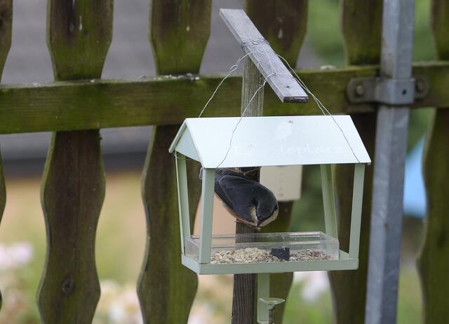 ......wenn hier am Morgen noch nix ausgelegt ist