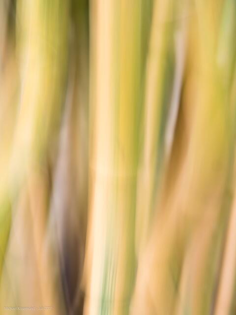 Bambus - vertikaler Wischer