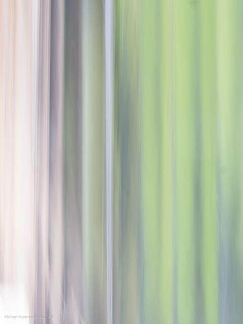 Bambus - vertikaler Wischer