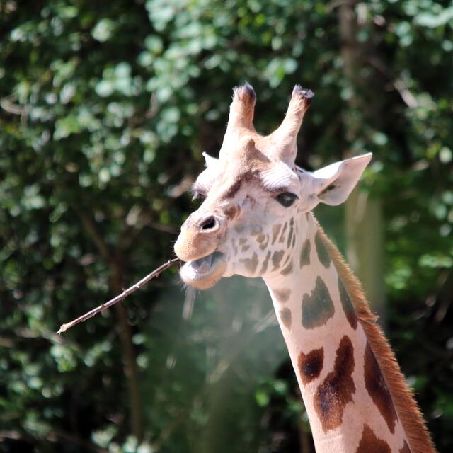 Ich erinnere mich noch sehr deutlich ...