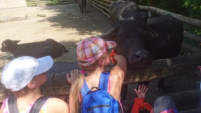 ... Rundgang mit Zoobegleiterin ...