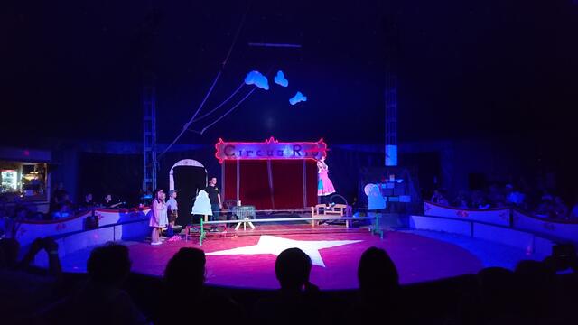 Show