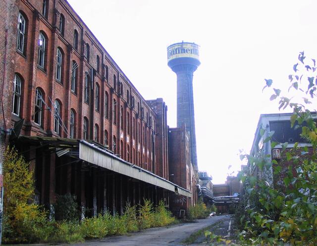 1999 wurde das Conti-Gelände stillgelegt. Schnell eroberte die Natur das Gebiet. Selbst auf den Dächern und im Mauerwerk rankte Birkengrün.