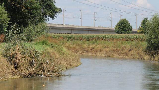 Die Innerste bei Sarstedt kurz vor Ruthe
