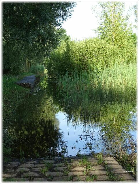Der Steg am kleinen See im Wietzepark wurde durch den Regen der letzten Wochen unter Wasser gesetzt (Foto: Katja Woidtke)