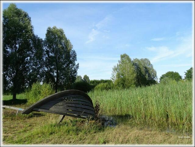 Sommer 2017 im Wietzepark (Foto: Katja Woidtke)