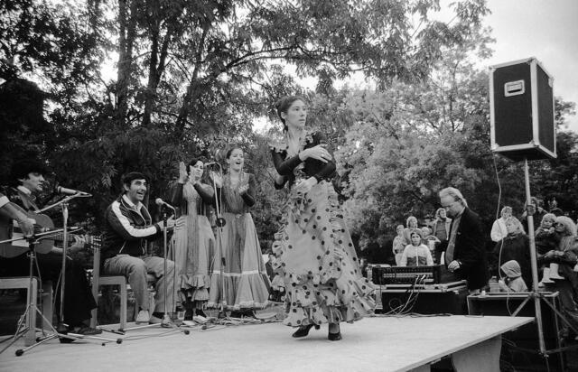Flamenco beim Sommerfest des Spielparks Döhren