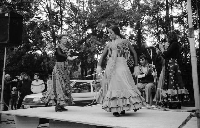 Flamenco beim Sommerfest des Spielparks Döhren