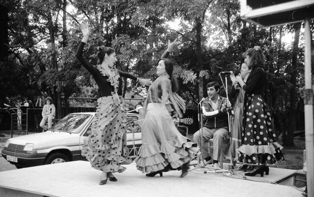 Flamenco beim Sommerfest des Spielparks Döhren