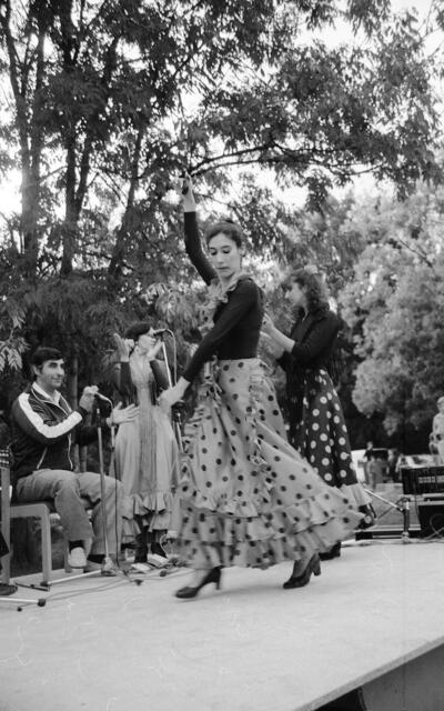 Flamenco beim Sommerfest des Spielparks Döhren