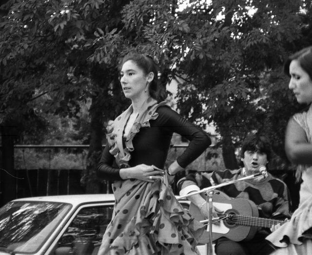 Flamenco beim Sommerfest des Spielparks Döhren