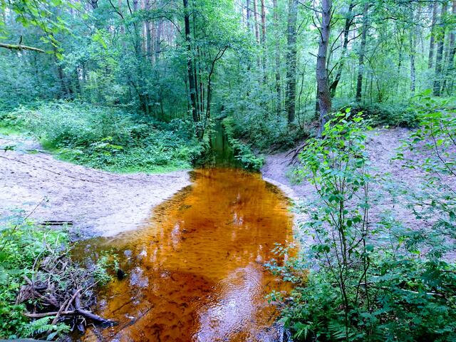 Die Farbe des Wassers ist ungewöhnlich. Wahrscheinlich liegt es an der Moorgegend oder am Eisengehalt.