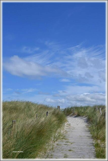 Weg durch die Dünen an den Steinwarder Strand (Foto: Katja Woidtke)
