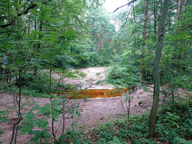 Hier beginnt der wunderschöne Weg an der Wulbeck.