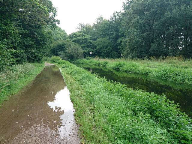 Links der Weg, rechts der Wietzezufluss