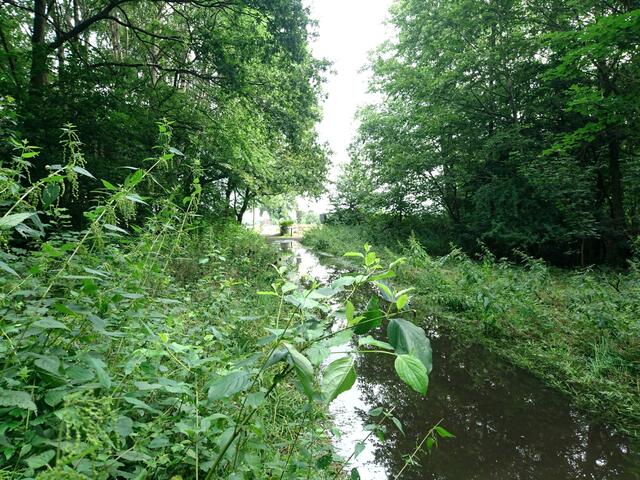 Der Weg zur Wietze in Richtung Isernhagen war nun ein Wasserweg.