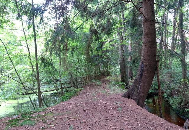 Links im Bild ist der verwunschene Teich vom 1. Foto, rechts fließt die Wulbeck.