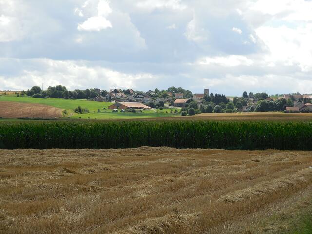Blick auf Immighausen. Durch den Ort bin ich eben gefahren.                                                          https://de.wikipedia.org/wiki/Immighausen