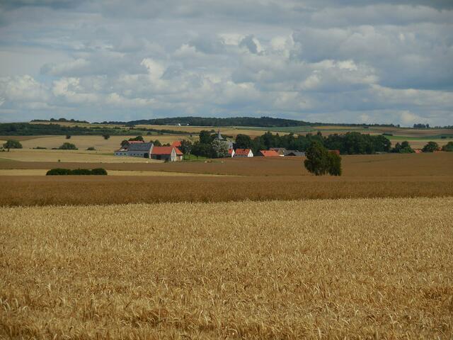 Blick auf Nieder-Ense. Von hier aus sind es noch ca. 5 km und ich bin wieder zu Hause.                                                           
https://de.wikipedia.org/wiki/Nieder-Ense