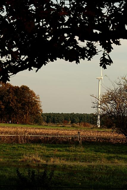 Strom aus Wind, auch hier
