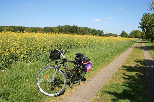 Ideal zum Fahrradfahren ist die Gegend