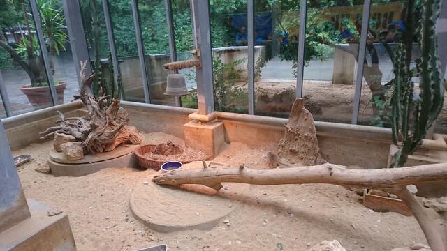 zweiter Zoo Tag