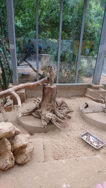 zweiter Zoo Tag