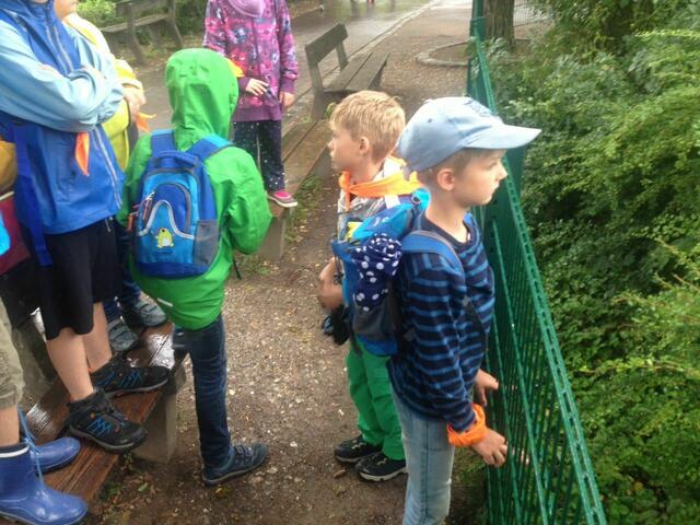 zweiter Zoo Tag