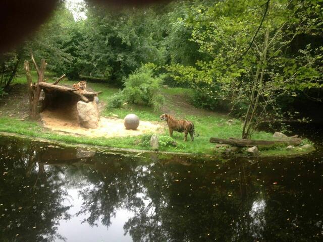 zweiter Zoo Tag