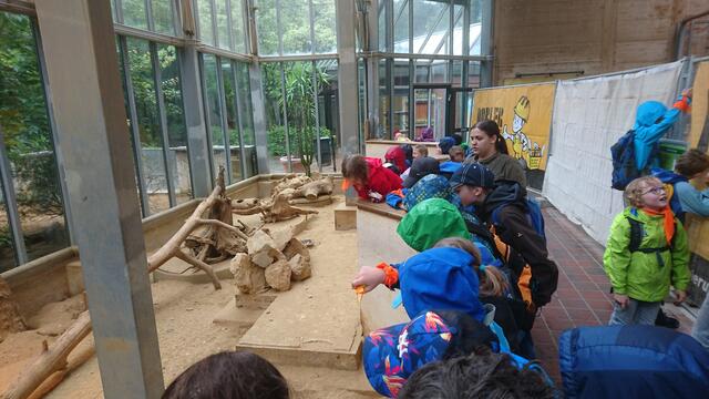 zweiter Zoo Tag