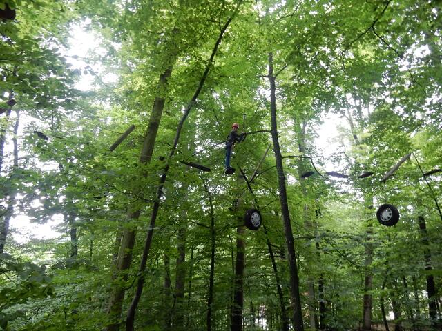 Die verschiedenen Touren erreichen Höhen bis über 10 m, für Erwachsene gibt es dann noch zwei "Steigerungen".
