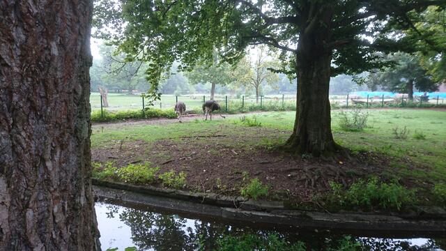 zweiter Zoo Tag