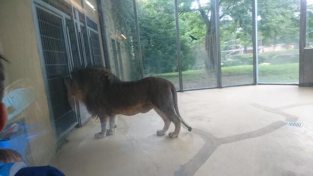 zweiter Zoo Tag