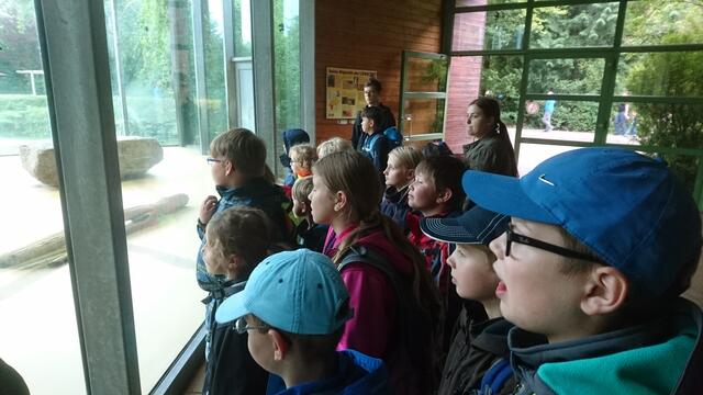 zweiter Zoo Tag