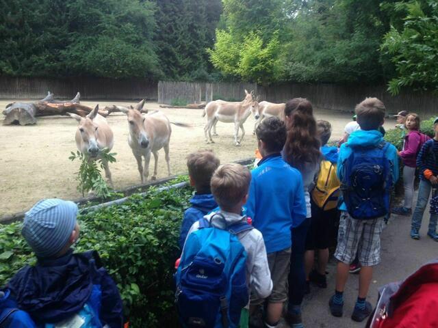 zweiter Zoo Tag