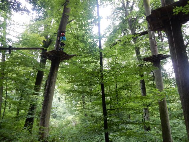 Die verschiedenen Touren erreichen Höhen bis über 10 m, für Erwachsene gibt es dann noch zwei "Steigerungen".