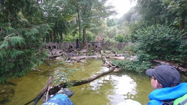 zweiter Zoo Tag
