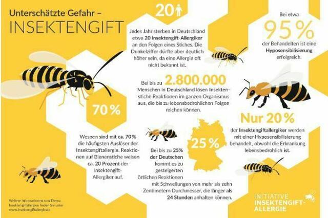 In Deutschland sterben etwa 20 Allergiker im Jahr an Insektenstichen. | Foto: © ALK Abello / obs / TRD Gesundheit