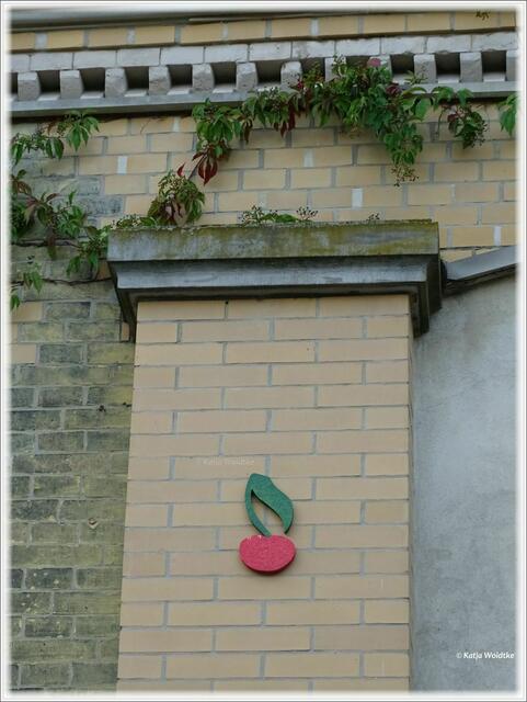 Kirsche am alten Marstall hinter der Leibniz-Uni in Hannover - Nordstadt (Foto: Katja Woidtke)