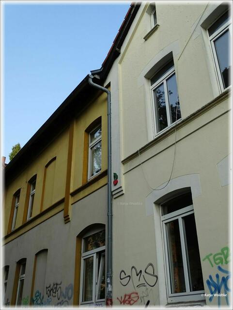 Kirsche in der Wilhelm-Busch-Straße Hannover - Nordstadt (Foto: Katja Woidtke)