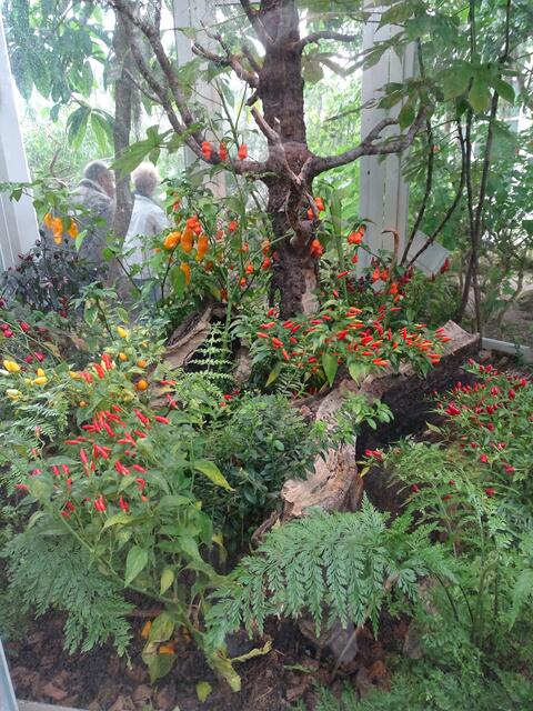 Palmenhaus Wien-Schönbrunn