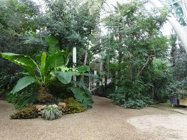 Palmenhaus Wien-Schönbrunn