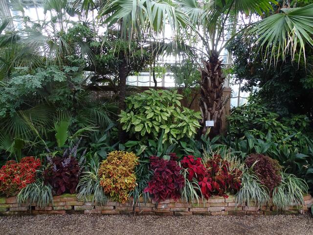 Palmenhaus Wien-Schönbrunn