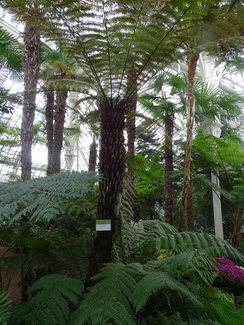 Palmenhaus Wien-Schönbrunn