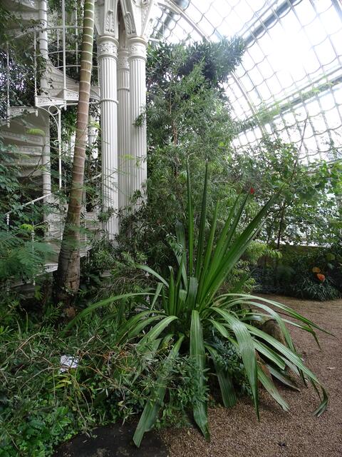 Palmenhaus Wien-Schönbrunn