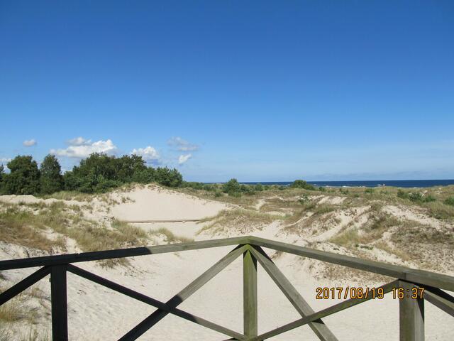 Sandhammeren